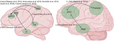 Frontiers Dependence Of Working Memory On Coordinated Activity Across Brain Areas